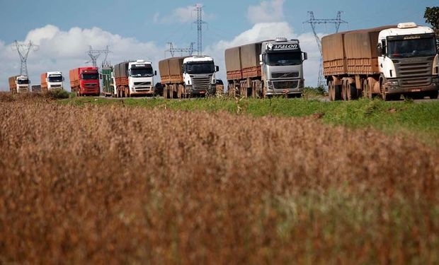 Brasil podrá exportar granos a menor costo