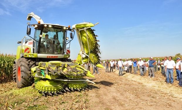 Una gran mano para producir forrajes de calidad