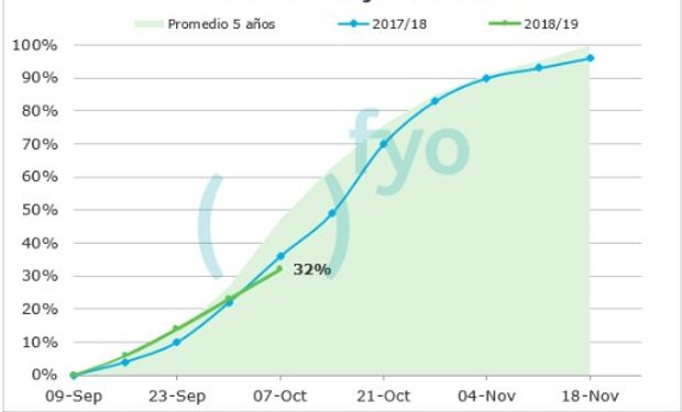 La cosecha de soja presenta un avance del 32% en Estados Unidos.