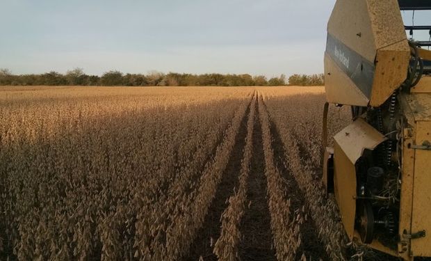 Muchos productores se quedaron sin capital de trabajo por la sequía y deben afrontar financiamiento elevado para la campaña.