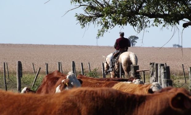 Las licencias en el contrato de trabajo agrario.