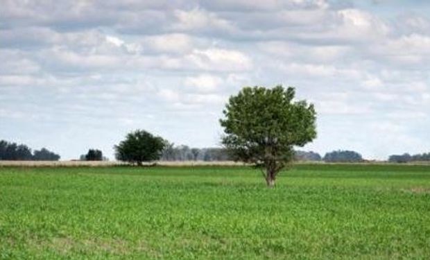 Nubosidad variable y posibles chaparrones