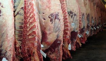 Se contrajo la exportación de carne