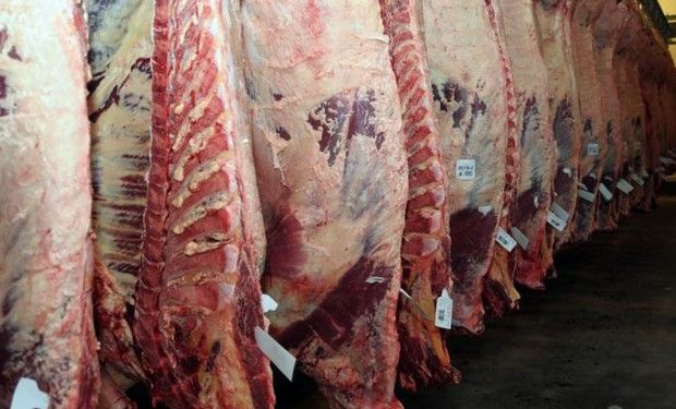 Se contrajo la exportación de carne