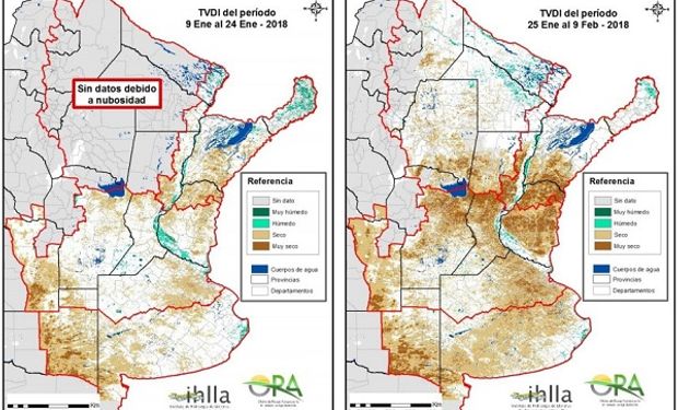 La soja es uno de los cultivos que se encuentra en un periodo crítico por la falta de agua.