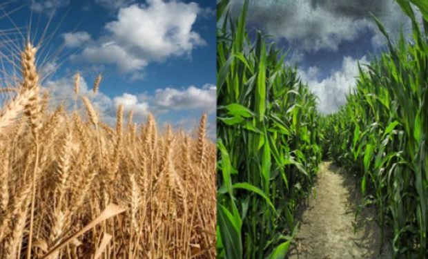 Noticias agrícolas del día