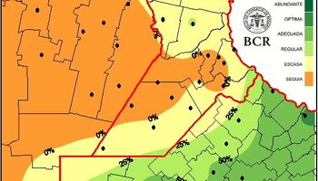 El clima se cobró 200 mil toneladas de trigo en la zona núcleo