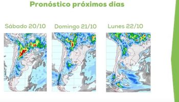 Un fenómeno indeseado acompaña la llegada de las lluvias