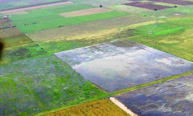 Lluvias arruinaron soja en Uruguay
