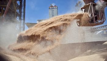 El INASE extiende y amplía la auditoría sobre producción de granos