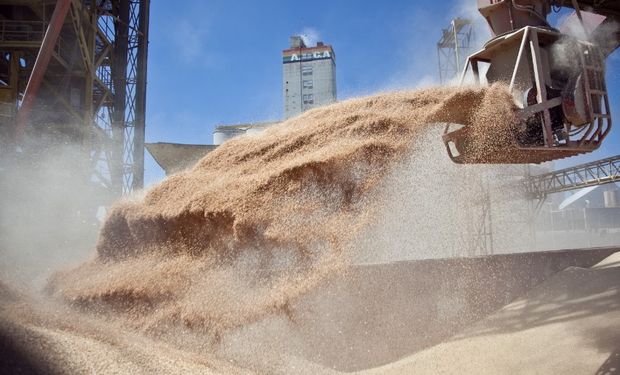 Las muestras serán tomadas únicamente a los productores que el Instituto determine, a diferencia de la reglamentación vigente para la especie soja.