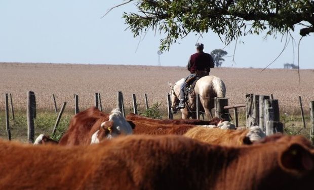 Trabajo a destajo: la explicación de un especialista.