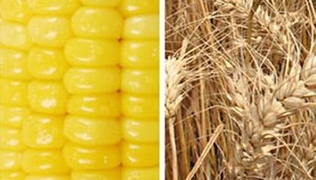 Noticias agrícolas del día