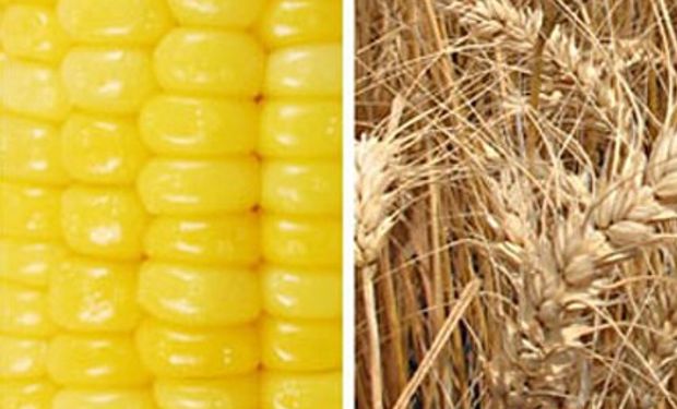 Noticias agrícolas del día