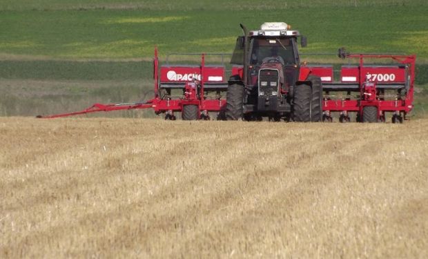 Actividad económica: el campo regresó al terreno positivo.