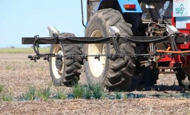 Agricultura de Precisión: destacan el rol estratégico de la generación de conocimiento relacionado a nuevas tecnologías.