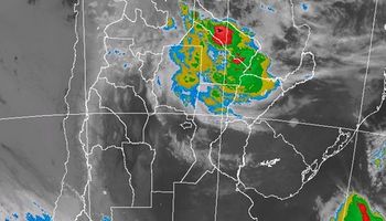 Ascenso térmico, lluvias sobre el NEA