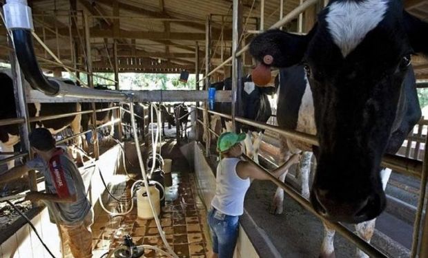 Lechería: "Profunda desilusión al más alto nivel", de la Mesa de Enlace