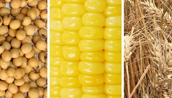 Noticias agrícolas del día