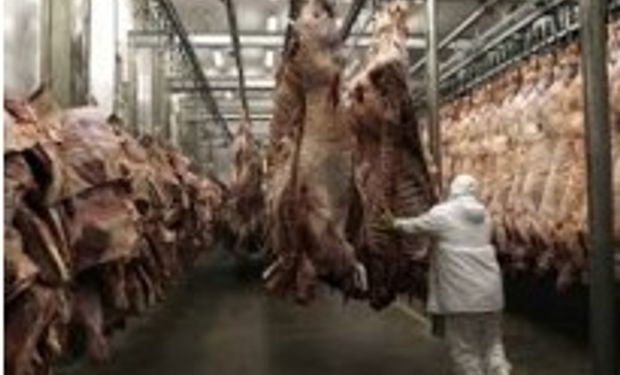 Rusia baja aranceles a la carne bovina de Argentina