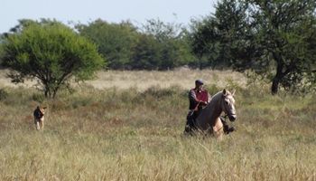 La solidaridad en el contrato de trabajo agrario