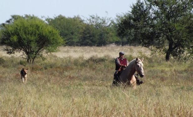 La solidaridad en el contrato de trabajo agrario.