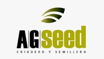 Maíz: ¿Rendimientos máximos significan máximas ganancias?