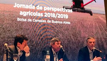 Expectativa récord del Gobierno: una cosecha de 140 millones de toneladas
