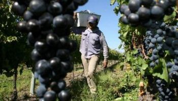 Vivienda y traslados del trabajador rural: aspectos a tener en cuenta