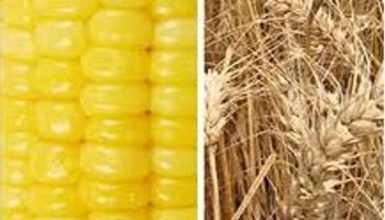Noticias agrícolas del día