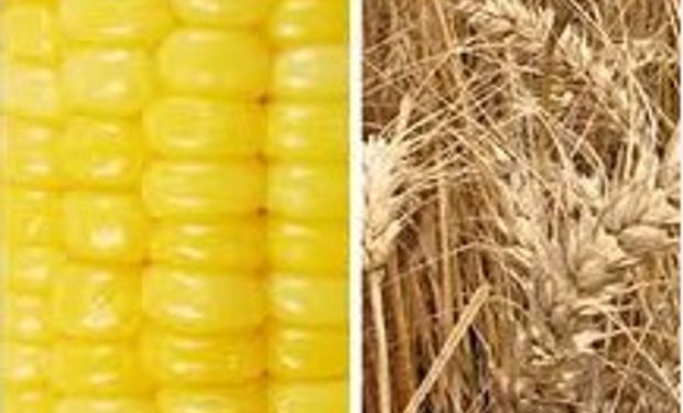 Noticias agrícolas del día