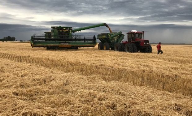 Las lluvias llegaron a días de comenzar la cosecha en la zona núcleo. La estimación podría caer a los 18,5 millones de toneladas. Foto: @Daniel12761451