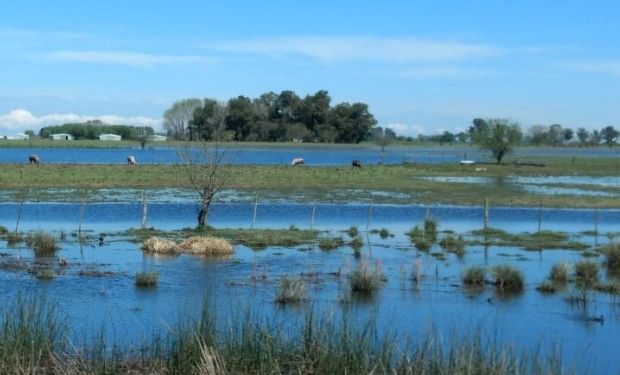 Las provincias más afectadas fueron Buenos Aires, Córdoba, Santa Fe y Entre Ríos.