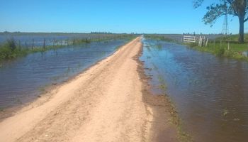 Cielos despejados: claves para moderar el efecto nocivo de las lluvias