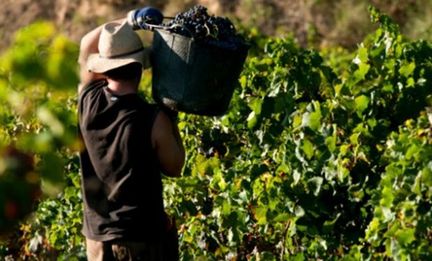 Trabajador rural y examen preocupacional.