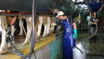Todo sobre higiene y seguridad en el ámbito rural