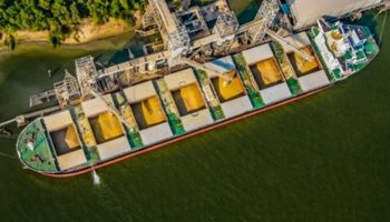 La soja volvió a subir ante nuevas señales sobre la guerra comercial