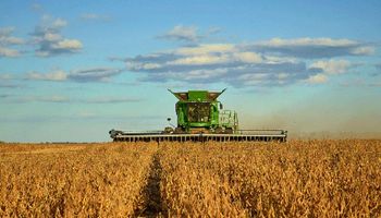 Argentina será el nodo continental para irradiar conocimientos en bioeconomía