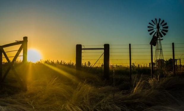 La actualidad de las empresas del agro.