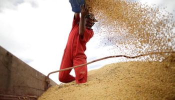 La cosecha de soja en Brasil podría alcanzar un récord de 129 millones de toneladas