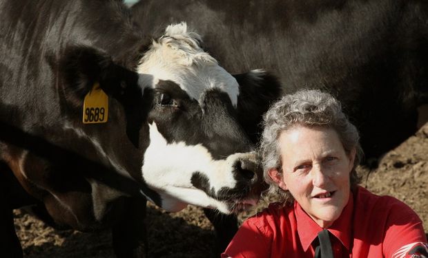 La reconocida especialista en Bienestar Animal y diseñadora de instalaciones para el manejo de ganado, le encanta Sudamérica y en especial el Uruguay.