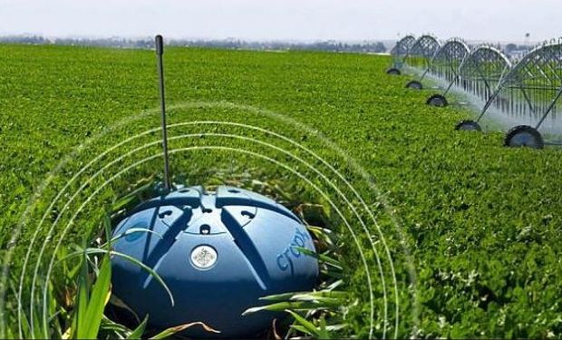 Sensores de la agricultura 4.0: en el suelo, en el aire, en los silos, en las maquinarias, en los animales y así podría surgir una larga lista.