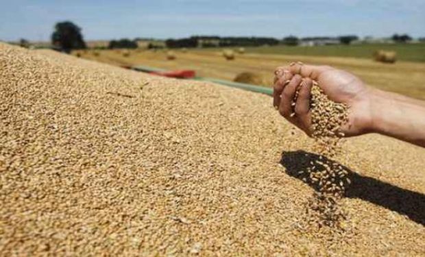 En el estimador mensual de actividad por sector de actividad económica el agro volvió a incidir de manera positiva.