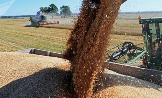 Ganancias: la AFIP ajusta régimen de retención para granos no destinados a la siembra y legumbres secas.