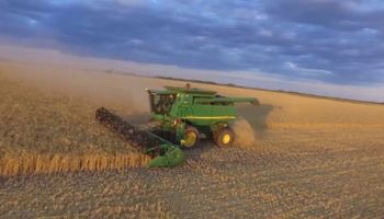 Nuevas lluvias vuelven a complicar el avance de la cosecha