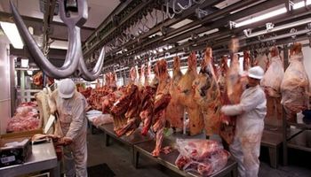 Carne: la apertura de Estados Unidos abre la puerta a nuevos mercados