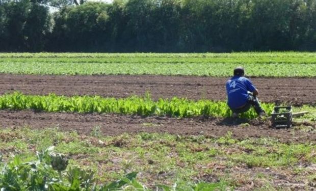 El Censo Nacional Agropecuario 2018 continúa hasta el 31 de diciembre.