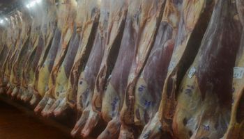 Destacan un incremento del 60% en la exportación de carne vacuna