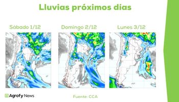 Nuevas lluvias en la franja central: cómo impactan sobre la campaña