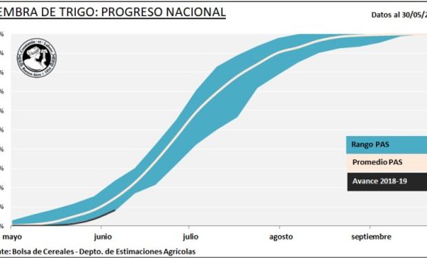 Impulsada por la adecuada oferta hídrica, la siembra de trigo 2018/19 continúa avanzando en nuestro país.